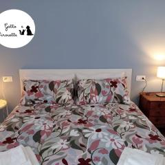 Il Gatto e Pirouette