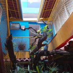 Angel Locação de Quartos