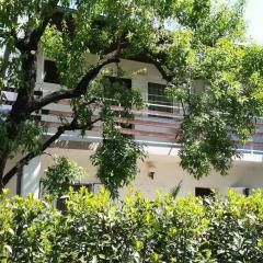 Apartments with parking space Biograd na Moru, Biograd - 24023