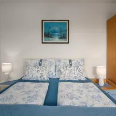 Funtana Apartments Budinjaš
