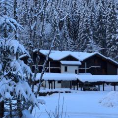 Appartement Morzine Avoriaz