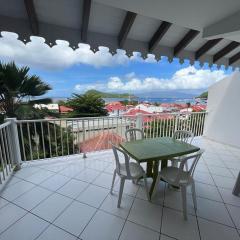 F2 confortable très belle vue baie des Saintes, grande terrasse, au calme mais très proche du débarcadère, des commerces et des différentes plages, vous pourrez circuler à pied !