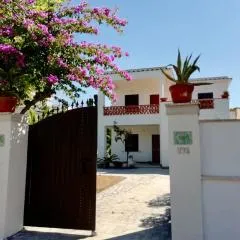 The seaside villa - Anzio