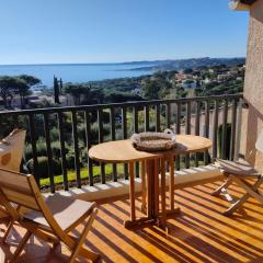 CHARMANT STUDIO AVEC TERRASSE et VUE MER EXCEPTIONNELLE
