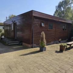 Nice chalet for 4 people on the Veluwe NEW