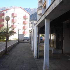 Apartment Nedovic