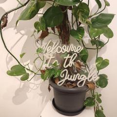 Jungle in Kelkheim for 4 Persons 24 h check in