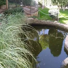 Paraje el Serbal