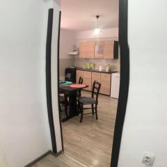 Apartament ultracentral Vatra Dornei