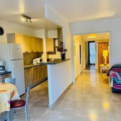 Appartement F2 moderne avec wifi et garage à Amélie-les-Bains - FR-1-703-110