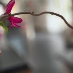 Ferienwohnung W14 1 S