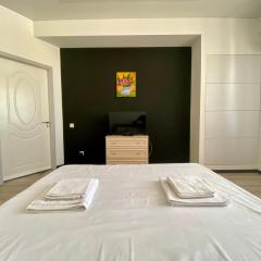 Apartament cu 2 odai Testemiteanu