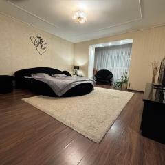 One-Bedroom Apartment in the center