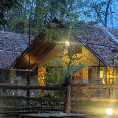 Thori Jungle Resort, chitwan National park