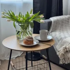 Comfy Center Apartment