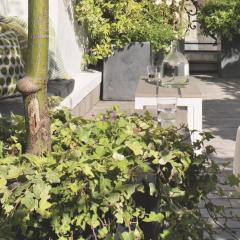 Belle chambre avec accès à une terrasse
