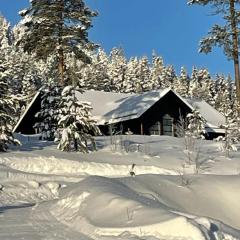 Villavemdalen