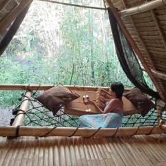 Ecocio Jungle Hostel
