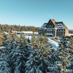 Naturhotel Sachsenbaude Oberwiesenthal - Indoor-Pool & Outdoor-Whirlpool