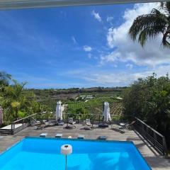 La Baie des Mangues 1 - Baba Figue - Nibou