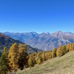 Spacious apartment with balcony