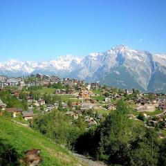 Charming apartment near ski area