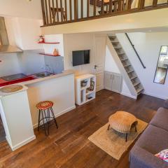 Vieil Antibes Duplex lumineux vue imprenable - Climatisé