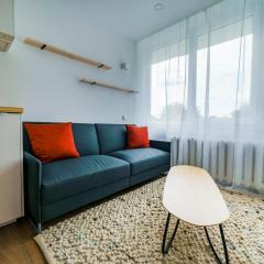 Stylish Studio in Vilnius III