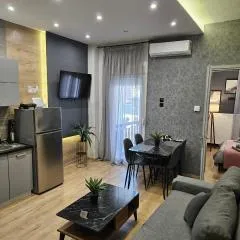 central 2 modern apartment