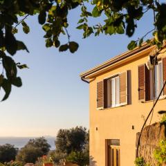 Lemon Flats Sorrento 2