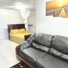 LADVILLE Apartment near Kingstown #1
