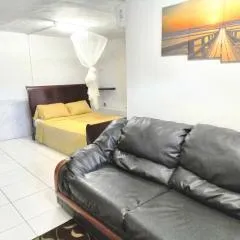 LADVILLE Apartment near Kingstown #1