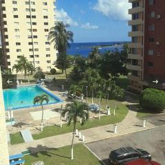 Beach-side condos at Turtle Beach Towers
