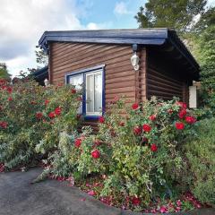 בקתות הגולן בכנרת 1