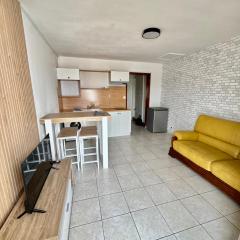 T2 Spacieux, Lumineux et Centrale