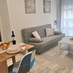 Ideal Holiday Apartment City Center