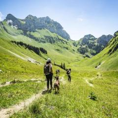 Spacious apartment in Chatel