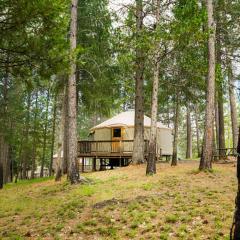 Yosemite Lakes Hillside Yurt 5