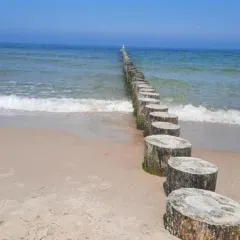 Władyslawowo Łebcz Modrzew