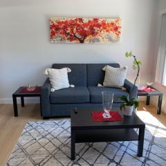 3 Palo Alto - Fully Furnished Apartment - AC, Laundry & Secure Parking
