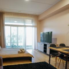 Cozy city center studioapartment, Free parking