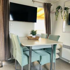 Mobilhome la Carabasse 40m2 6-8 personnes