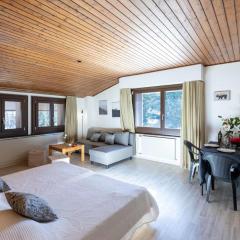 Apartment Gamat 49 by Interhome