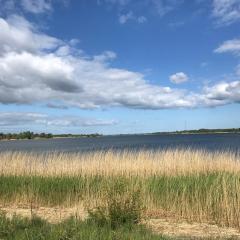 Strandgut Wackerballig