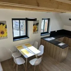 Apartmány U Buku