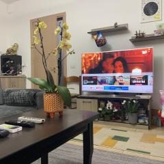 Arteg Apartments - Delux