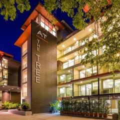 At the tree by fatimah