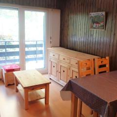 Snug apartment near ski area