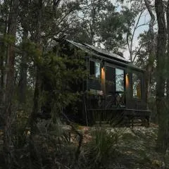 Off-Grid Cabin Tucked into Nature Creek Access - Yenya