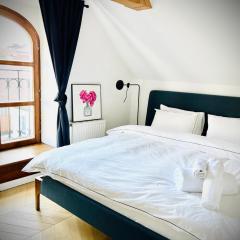 Steyr Old Town Loft - A charming 3 Bedroom Oasis